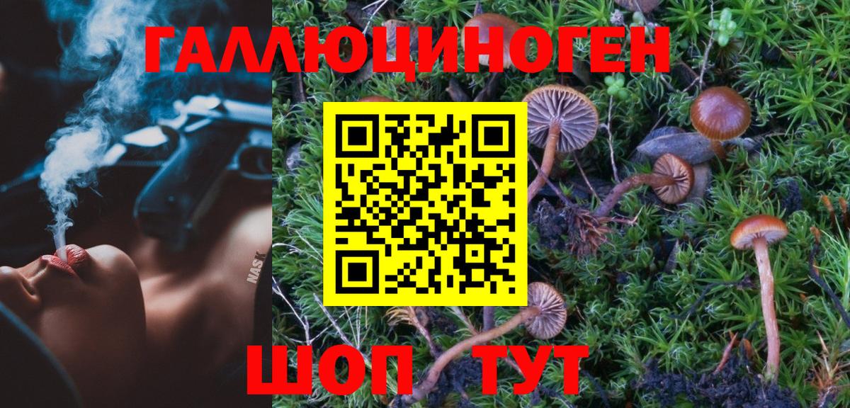 Галлюциногенные грибы мухоморы Ефремов